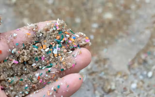 Most plastics are made from fossil fuels and end up in the ocean, but marine microbes can’t degrade them – new research