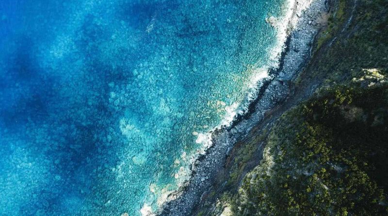 New modeling shows the intensity of CO₂ uptake is higher in coastal seas than in the open ocean